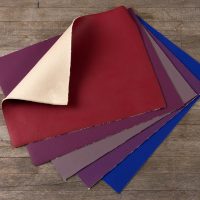 14-Cruiser-UR-P.-Coventry 14 Cruiser UR P. Coventry