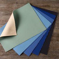 39-Fortrain-UR-DB-AGF-Lama-OP 39 Fortrain UR DB AGF-Lama OP